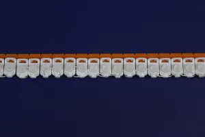Ball Bearing Roller Ripple Carrier on a Strip 60% Fullness 2 5/8"