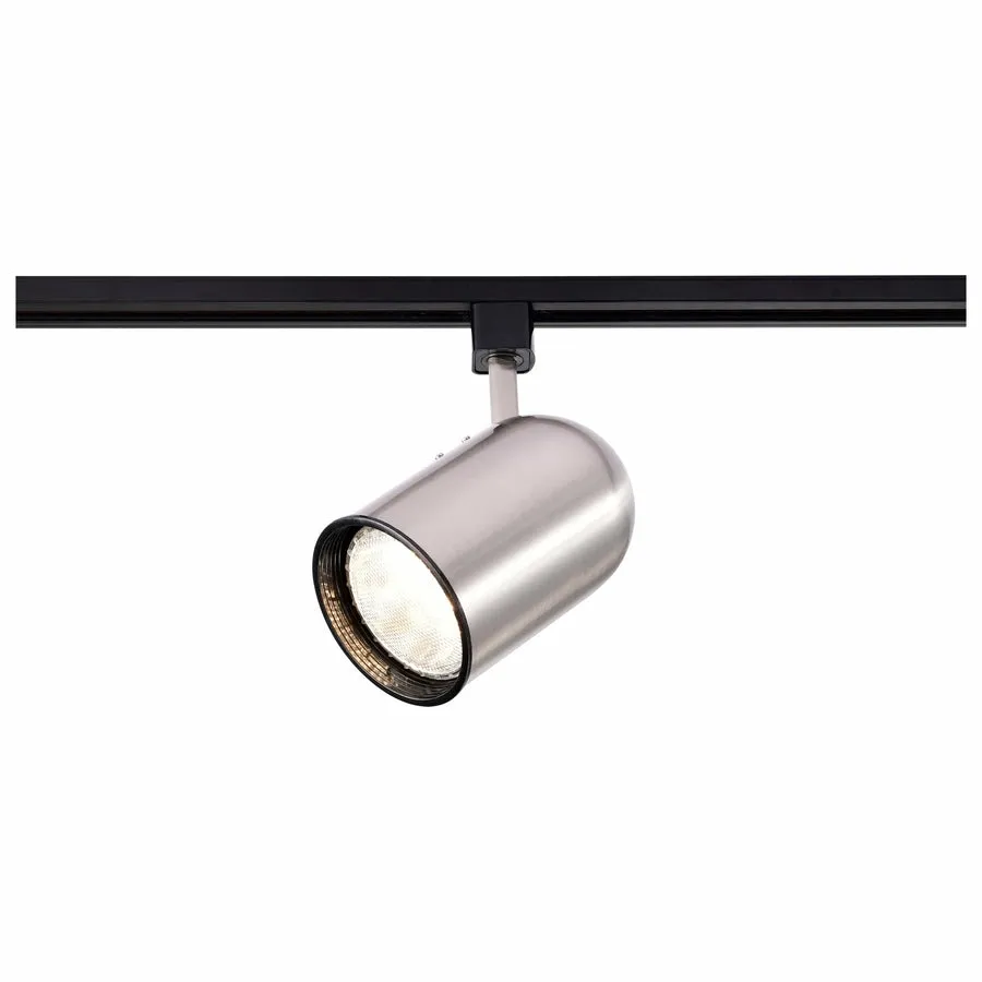 BRUSHED NICKEL R20 BULLET CYL