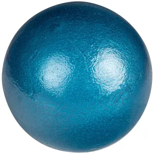 Champro 12# Iron Shot Put
