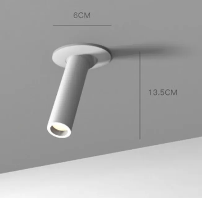 Gunhild Adjustable Industrial Minimalist Spotlight
