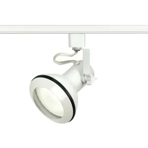 PAR30 EURO TRACK HEAD WHITE