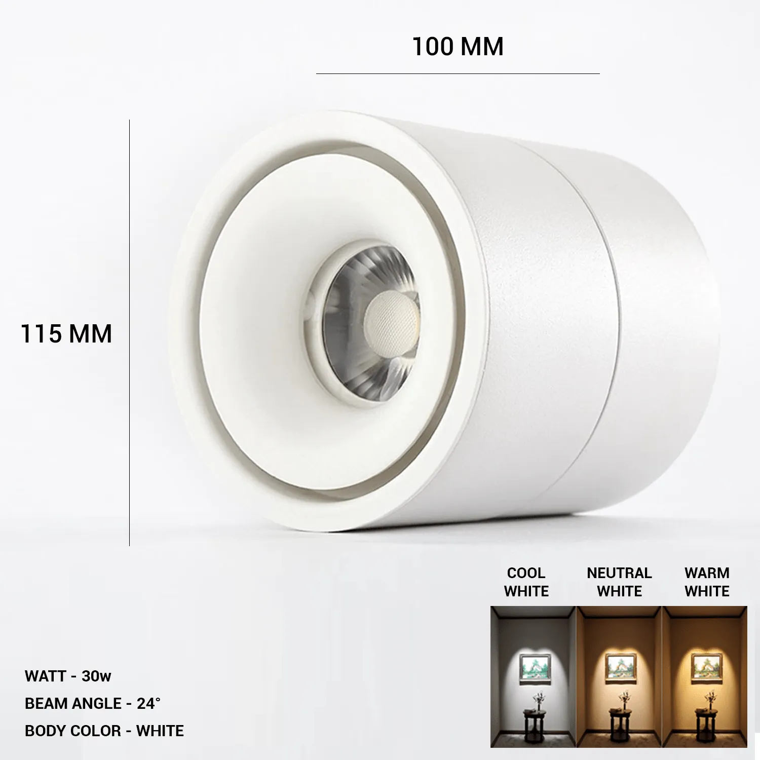 Track Light 360° Adjustable COB Spotlight